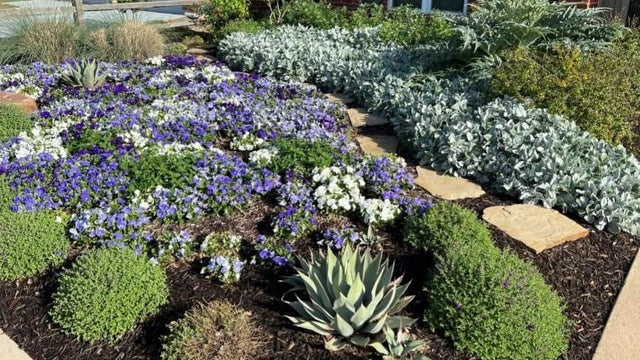 Gardening 101: Landscape Design 