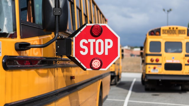 school buses 