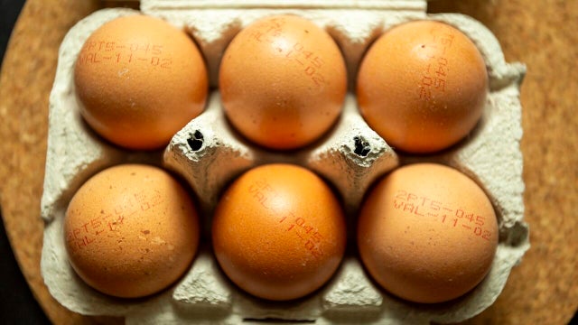Consumers Seek Alternatives Amid Soaring Egg Prices 