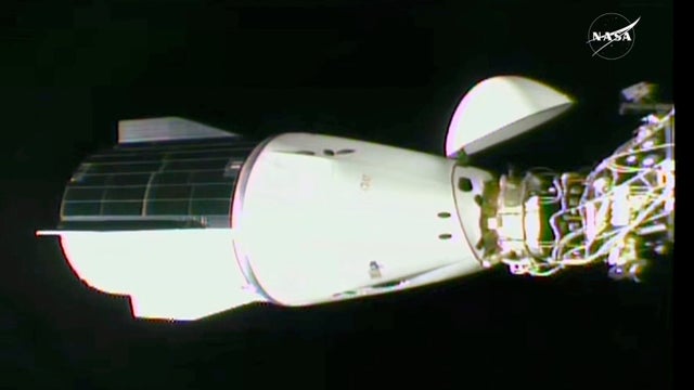 SpaceX Astronauts 