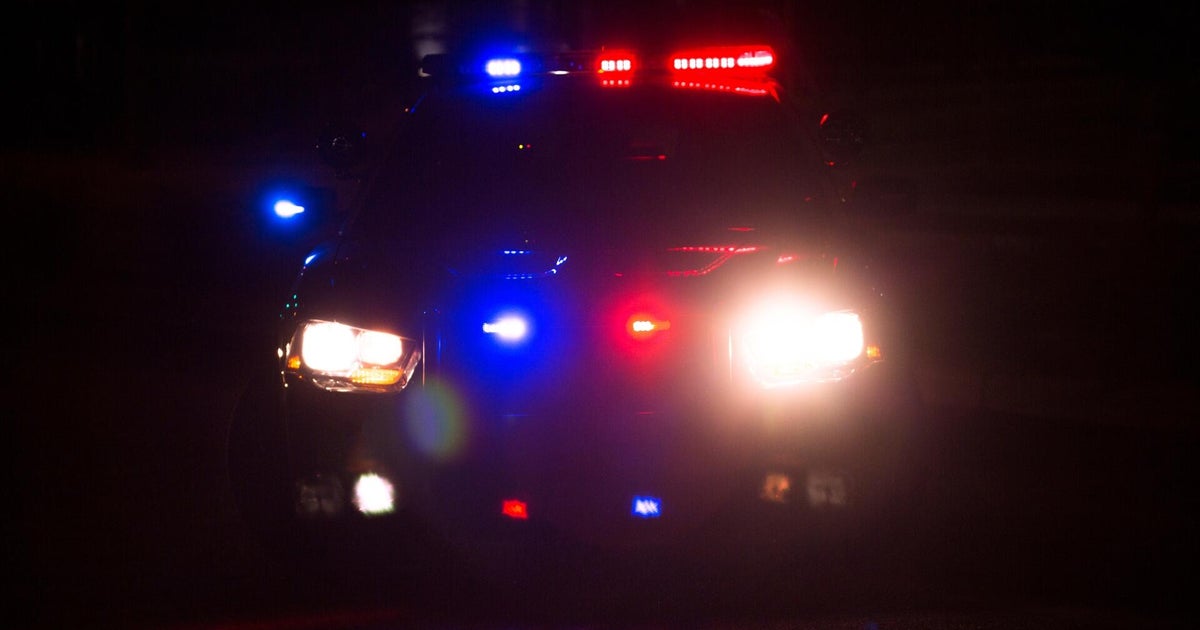 Cries of injured puppy led to 911 call about animal cruelty in Ferndale 