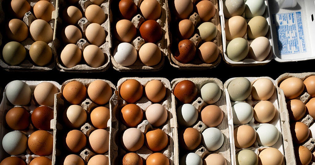 Salmonella outbreak tied to eggs makes dozens sick across 7 states 
